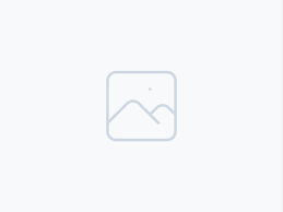 Stylisches Kinder -Outfit -3 teilig